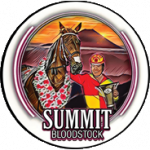 Summit Bloodstock